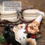 Figurine de chef décorations simples de bouteilles de poivre pour cuisine