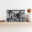Playful Zebras Contemporary Zebra Wall Art Print 1 Piece Wrapped Canvas Wall Art-1473553000