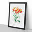 Red Peruvian Lily Flowers - Picture Frame Painting Print-55598000-55598002