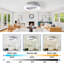 15cm Ceiling Fan