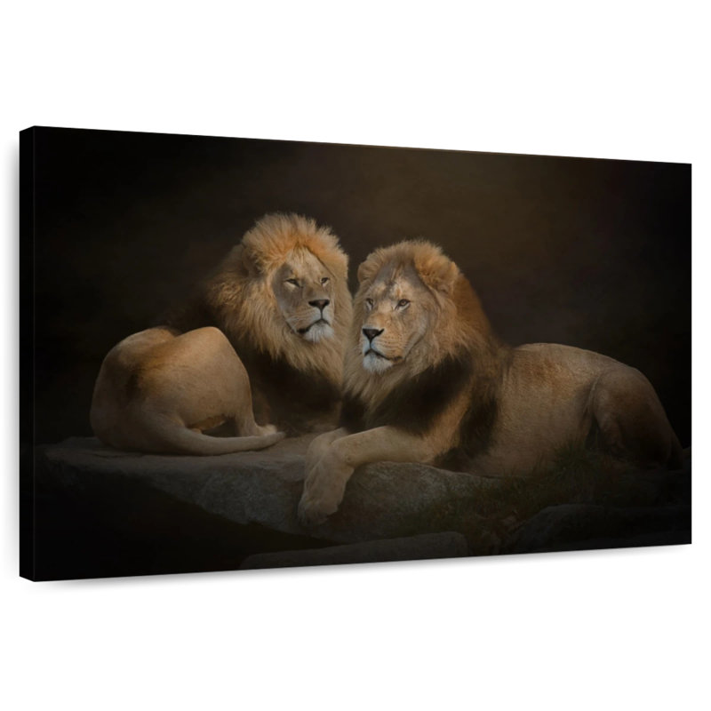 Brampt Twin Lions, 8" H x 12" W