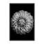 Nature Inspired Marigold by  - Picture Frame Photograph on Paper-81388030-131284511-131284589