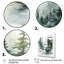 Beatrize Alaska Misty Fjords II - impression-400841581-400841591