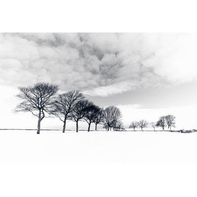 Winter Trees by Duncan1890 - No Frame Print on Canvas
