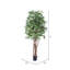 Arbre d’érable japonais en pot