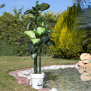 20cm Faux Elephant Ear Plant in Pot