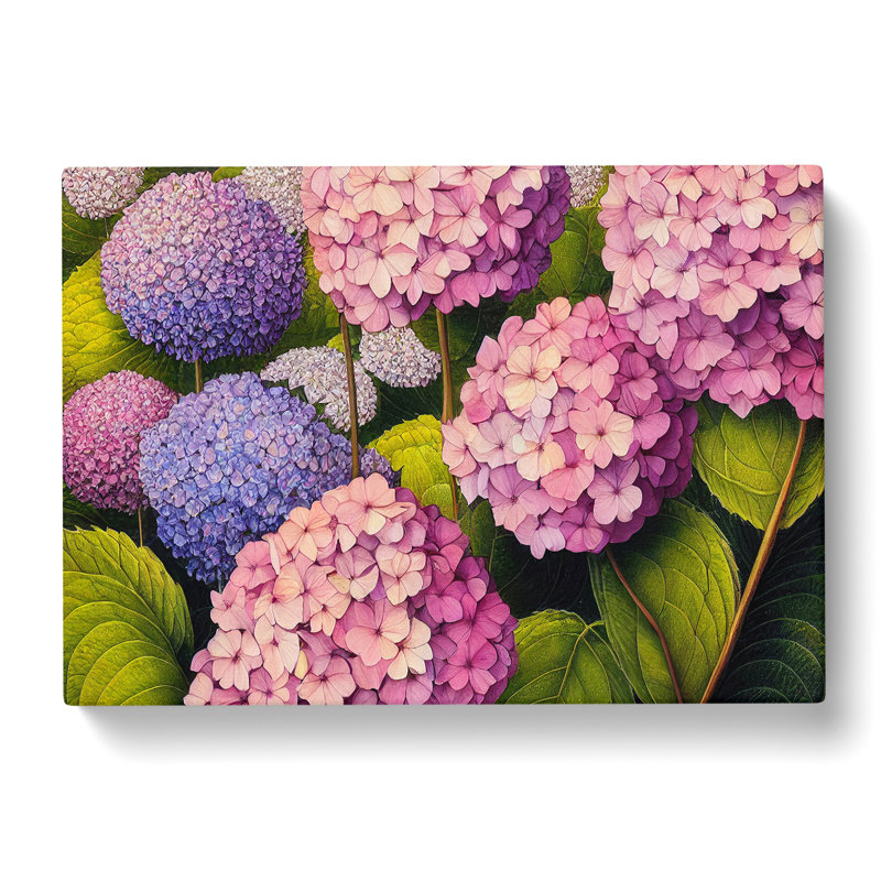 Hydrangea Flower Painting - Wrapped Canvas, 40cm H x 60cm W x 3cm D