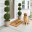 Maegan Non-Slip Doormat-288268680