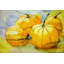 « citrouilles jaunes », reproduction d’art sur toile tendue-21601484
