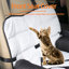 Pet Bed-61710880