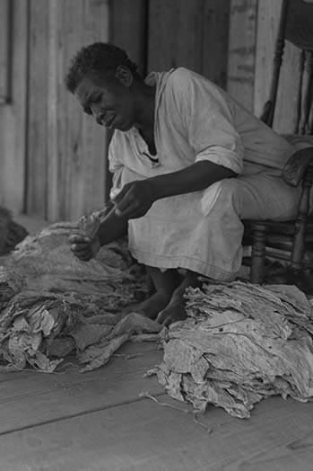 « black sharecropper tris tabacs », reproduction de photo, H 36 po x l 24 po x P 1,5 po