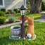 Décoration de jardin pour chien assis Akita
