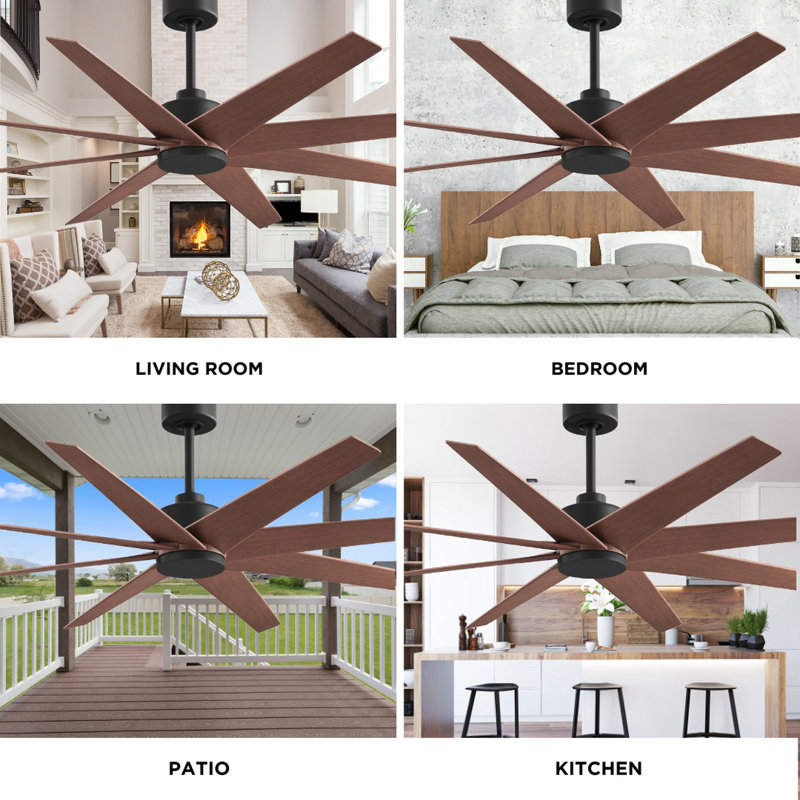 Ariella - Eight Blade Ceiling Fan - Brushed Brass Finish - Matte Black Blades, Matte Black, Walnut Tone