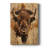 ANIMALS Series CDXCVI -Custom Wrapped Gallery Cavas-1211390901