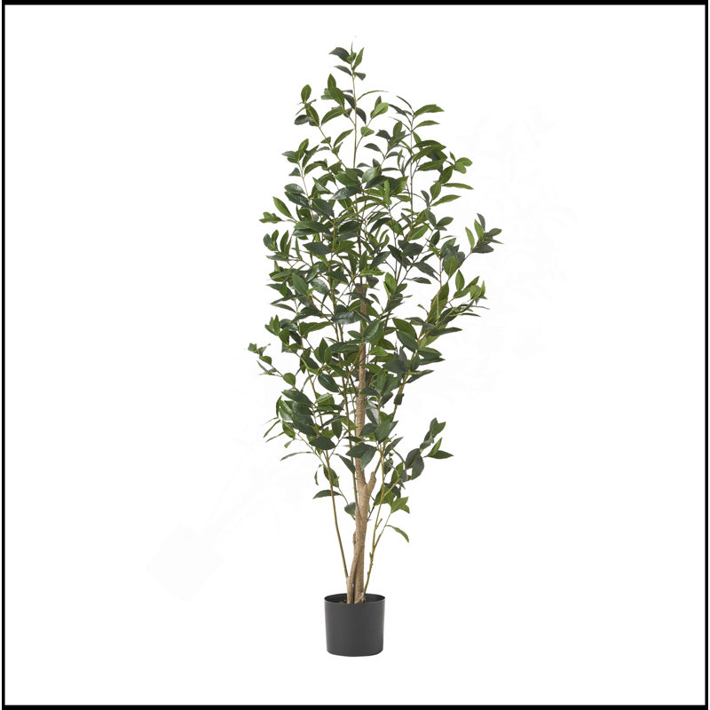 ARTIFICIAL LAUREL TREE, 64" H x 24" W x29" D