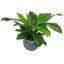 60cm Faux Fern Plant in Pot Liner-1560364593
