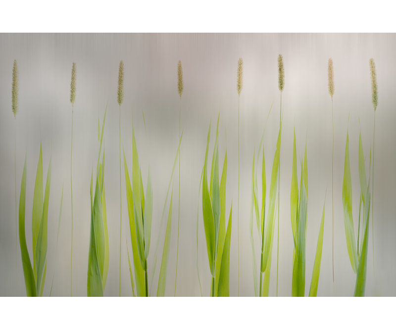 Wrapped Canvas Print, 50.8cm H x 76.2cm W