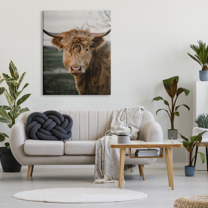 Highland Cow, photographie sur toile par Dakota Diener, H 48 po x l 36 po x P 1,5 po