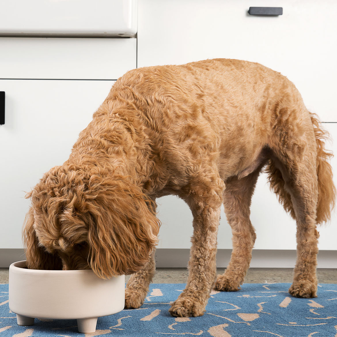 Uplift Ceramic Dog Bowl, Small (2 cups / 16 fluid oz), Clay