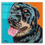Art mural en verre «Rottweiler» par Carolee Vitaletti-1271313867