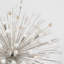 Lys 18 - Light Solid Brass Chandelier by Suzanne Kasler