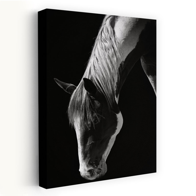 Frank Ma - Wrapped Canvas Print, 91.44 cm H x 60.96 cm W