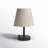 Daina Metal USB Desk Lamp