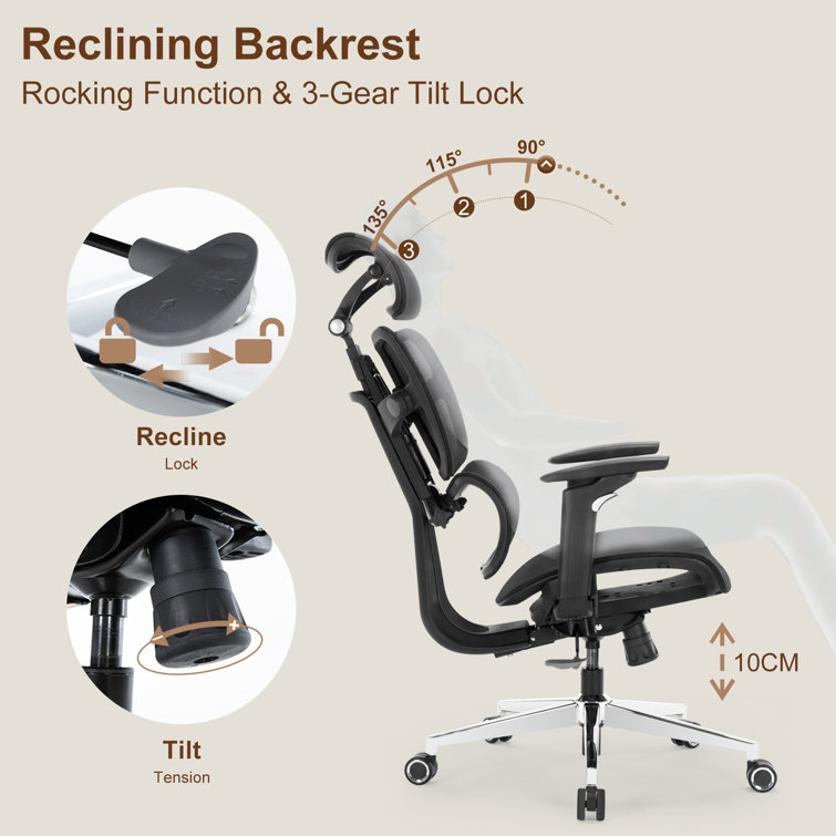 https://assets.wfcdn.com/im/49709110/resize-h755-w755%5Ecompr-r85/2466/246618505/Latashia+Ergonomic+Office+Chair+Mesh+Big+and+Tall+Computer+Desk+Chair+-Adjustable+Lumbar+Support+Backrest+Headrest.jpg