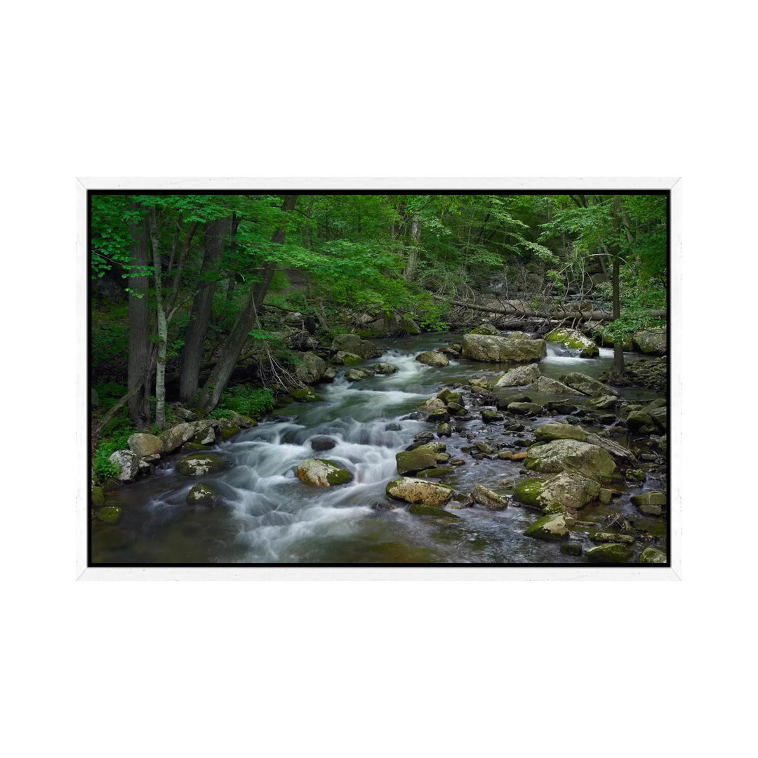 Little Stony Creek Flowing Through Jefferson National Forest, Virginia von Tim Fitzharris - Gallery-Wrapped Canvas GiclÃ...