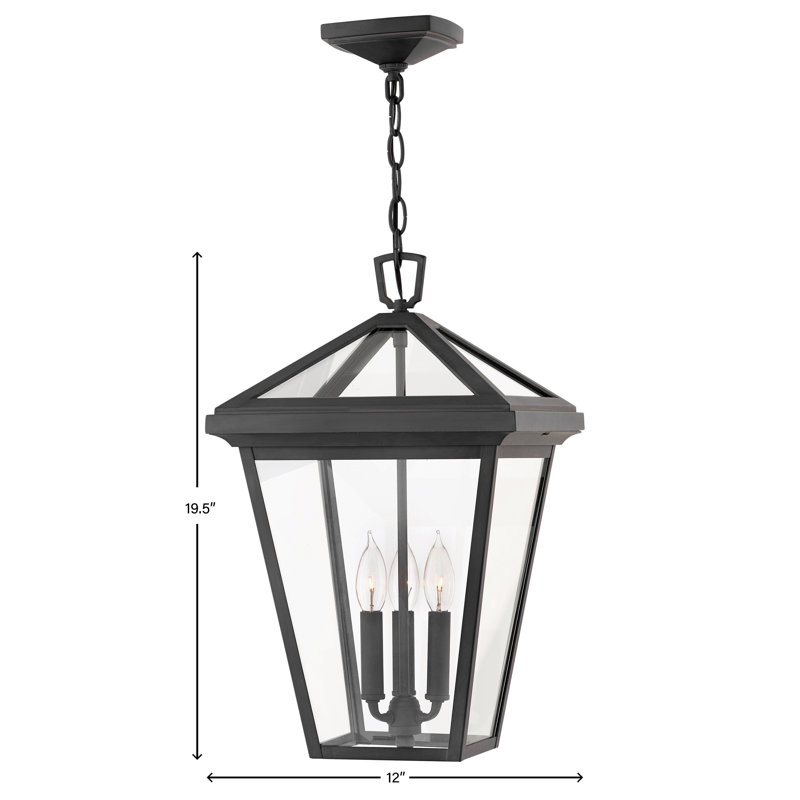 Alford Place 3 Light Outdoor Hanging Lantern, Museum Black