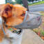 Couvre-gueule ajustable pour chien