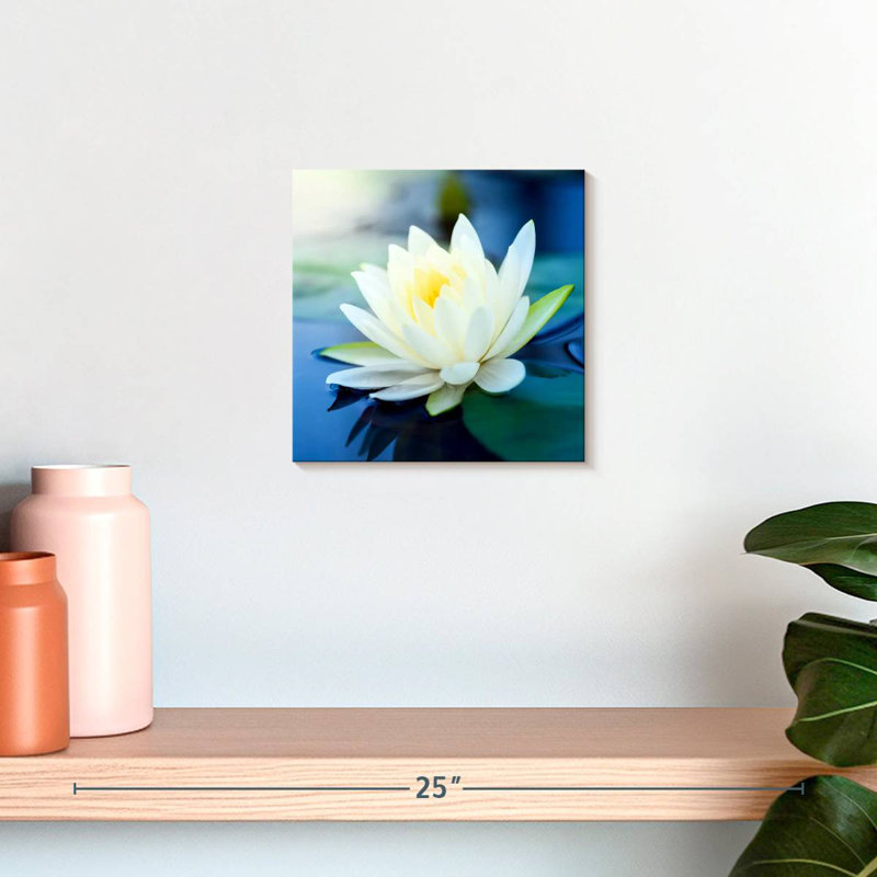 Lotus Splendor, H 10 po x l 10 po