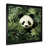 Black Single Picture Framed
