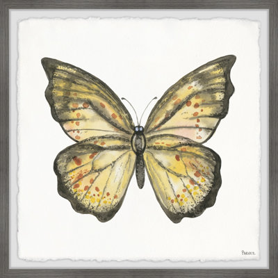 «Big Yellow Mariposa», reproduction encadrée