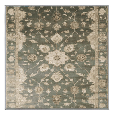 Machine Washable Overdyed Brown Area Rug