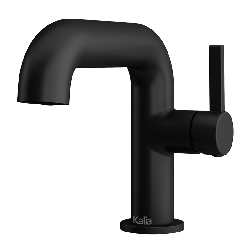 Basico Single-handle Bathroom Faucet with Drain Assembly, Matte black