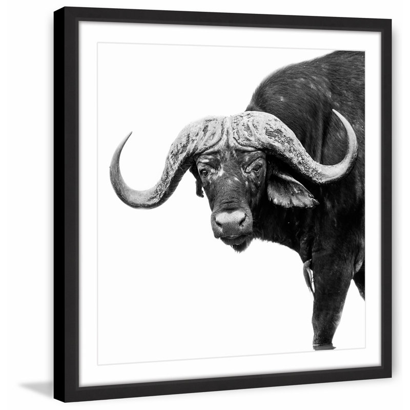 Single Picture Frame Print, 51cm H x 51cm W x 3.81cm D