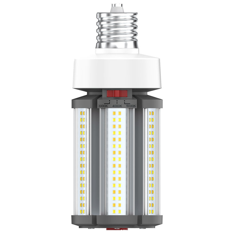 White LED Bulb