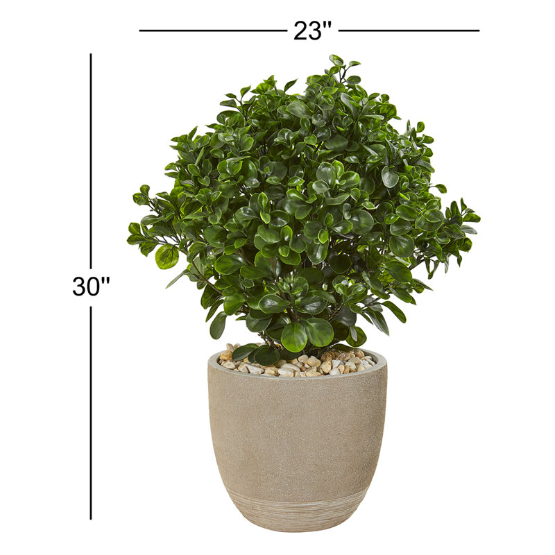 30 po Jardinière en pépin artificiel en pépin de Peperomia résistant aux rayons UV (intérieur / extérieur)