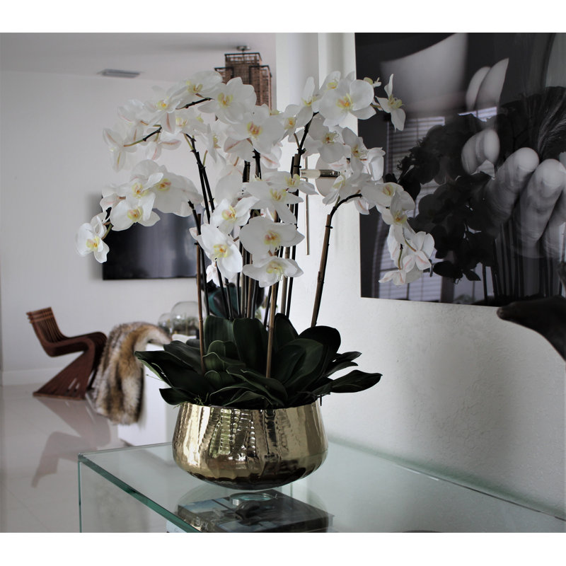 Roberi bowl with multiple stems of white Phalaenopsis orchids, 28" H x 18" W x 18" D, White