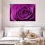 Gouttelettes Harnek sur rose mauve-107528813