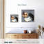 Chat moderne Brampt-109368689