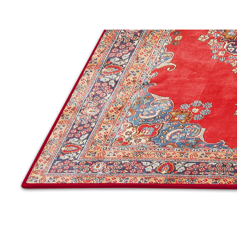 Rouge oriental/bleu/brun Tapis décoratif, Rectangle 5 pi x 7 pi