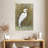 Brampt White Egret I-108361533