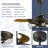 Adonna 42'' Ceiling Fan with Light Kit