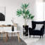 66 plantes-97700192