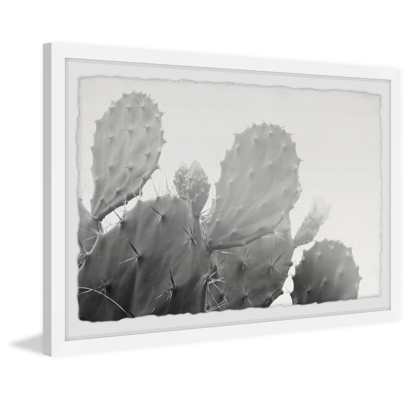 Single Picture Frame Print, 61cm H x 91cm W x 3.81cm D