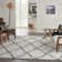 Performance Geometric Indoor Rug