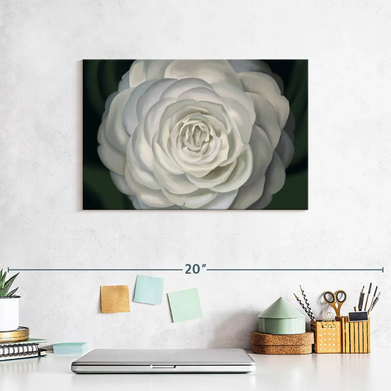 " Camellia " Print, 8" H x 12" W x 1" D