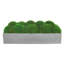 Nature's Nostalgia Moss Plant in Fiberstone Planter-1850721373-1824800356